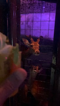 沖縄こどもの国に投稿された画像（2025/6/14）