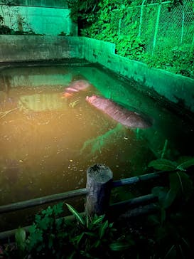 沖縄こどもの国に投稿された画像（2025/6/14）