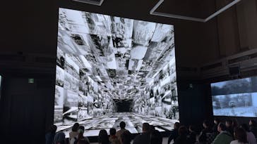 イマーシブシアター新ジャポニズム（東京国立博物館　本館 特別５室）に投稿された画像（2025/6/14）
