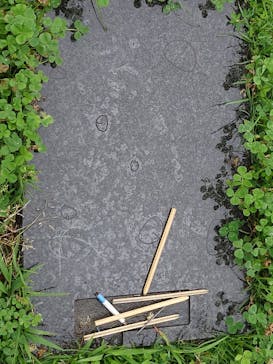 ハイパーミュージアム飯能に投稿された画像（2025/6/14）