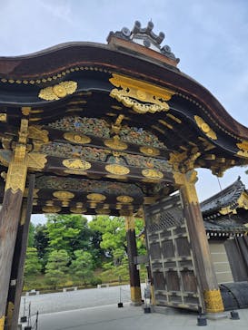 元離宮二条城に投稿された画像（2025/6/14）