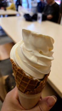 元離宮二条城に投稿された画像（2025/6/14）