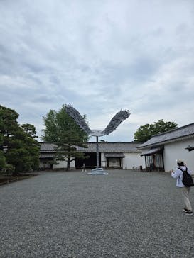 元離宮二条城に投稿された画像（2025/6/14）