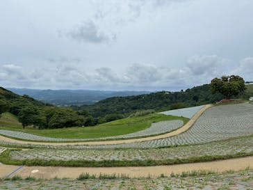 マザー牧場に投稿された画像（2025/6/14）