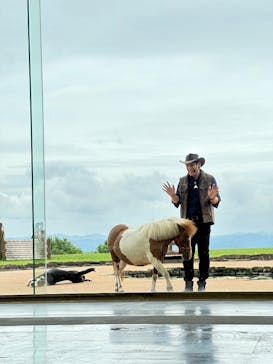 マザー牧場に投稿された画像（2025/6/14）