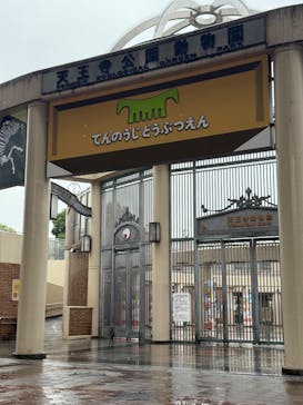 天王寺動物園に投稿された画像（2025/6/14）