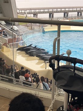 マリンワールド海の中道に投稿された画像（2025/6/15）