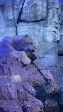 横浜・八景島シーパラダイスに投稿された画像（2025/6/15）