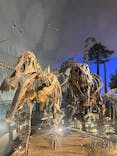 福井県立恐竜博物館に投稿された画像（2025/6/15）