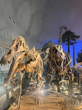 福井県立恐竜博物館に投稿された画像（2025/6/15）