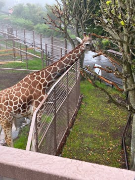 伊豆シャボテン動物公園に投稿された画像（2025/6/15）