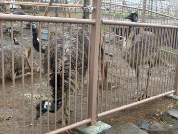 伊豆シャボテン動物公園に投稿された画像（2025/6/15）