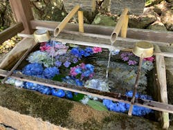 下田ロープウェイに投稿された画像（2025/6/15）
