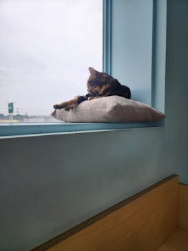 Moff animal cafe イオンモール成田店に投稿された画像（2025/6/15）