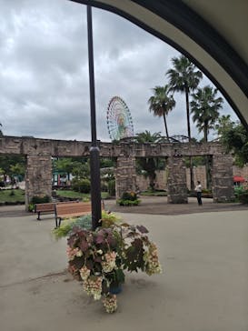 ひらかたパークに投稿された画像（2025/6/15）