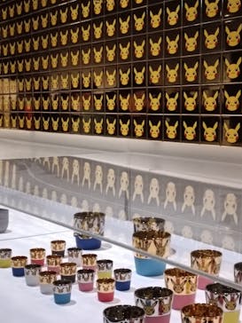 ポケモン×工芸展－美とわざの大発見－に投稿された画像（2025/6/15）