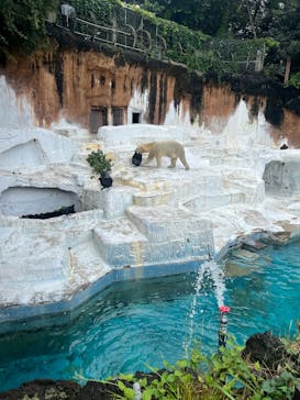 天王寺動物園に投稿された画像（2025/6/15）
