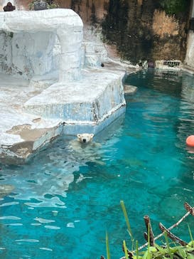 天王寺動物園に投稿された画像（2025/6/15）