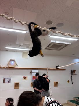 アニタッチ MARK IS 静岡に投稿された画像（2025/6/15）