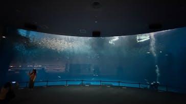 名古屋港水族館に投稿された画像（2025/6/15）