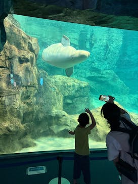 名古屋港水族館に投稿された画像（2025/6/15）