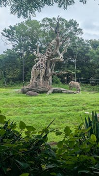 天王寺動物園に投稿された画像（2025/6/15）
