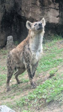 天王寺動物園に投稿された画像（2025/6/15）