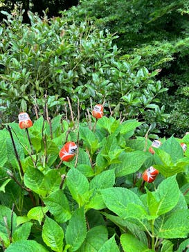 勝尾寺に投稿された画像（2025/6/15）