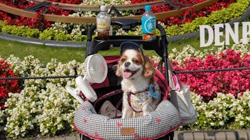 安城産業文化公園デンパークに投稿された画像（2025/6/15）