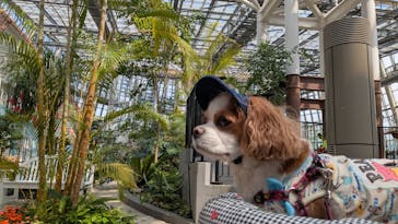 安城産業文化公園デンパークに投稿された画像（2025/6/15）