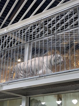 NIFREL（ニフレル）に投稿された画像（2025/6/15）