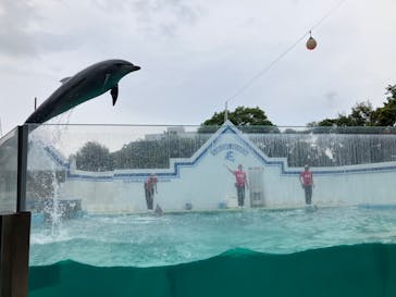 しながわ水族館に投稿された画像（2025/6/15）