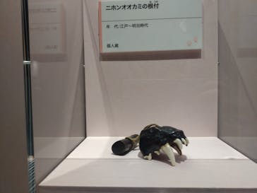 特別展「古代DNA－日本人のきた道」（国立科学博物館）に投稿された画像（2025/6/15）