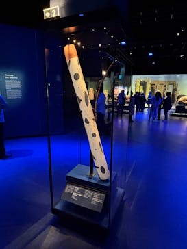 ACN ラムセス大王展 ファラオたちの黄金に投稿された画像（2025/6/15）