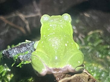 あわしまマリンパークに投稿された画像（2025/6/15）