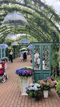 横浜イングリッシュガーデンに投稿された画像（2025/6/15）