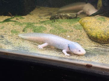 竹島水族館に投稿された画像（2025/6/15）