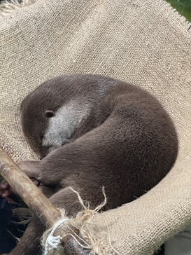 竹島水族館に投稿された画像（2025/6/15）