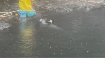 箱根園水族館に投稿された画像（2025/6/15）