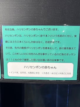 竹島水族館に投稿された画像（2025/6/15）