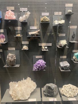 福井県立恐竜博物館に投稿された画像（2025/6/15）