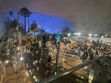 福井県立恐竜博物館に投稿された画像（2025/6/15）