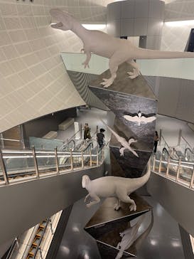 福井県立恐竜博物館に投稿された画像（2025/6/15）