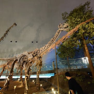 福井県立恐竜博物館に投稿された画像（2025/6/15）