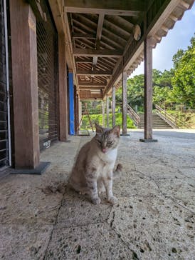 首里城公園 有料区域に投稿された画像（2025/6/15）