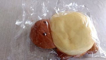 新江ノ島水族館に投稿された画像（2025/6/15）