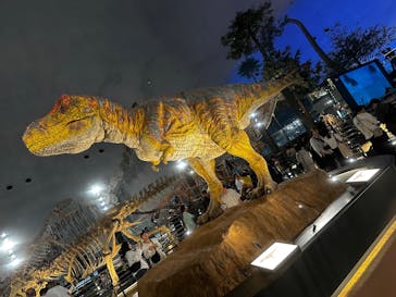 福井県立恐竜博物館に投稿された画像（2025/6/15）
