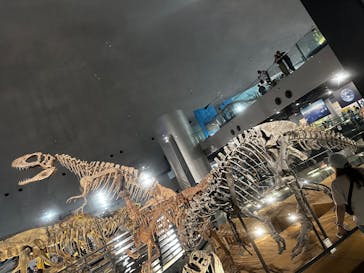 福井県立恐竜博物館に投稿された画像（2025/6/15）