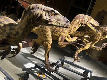 福井県立恐竜博物館に投稿された画像（2025/6/15）