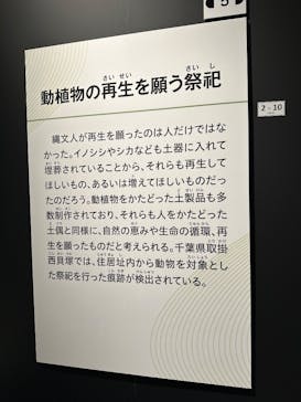 特別展「古代DNA－日本人のきた道」（国立科学博物館）に投稿された画像（2025/6/15）